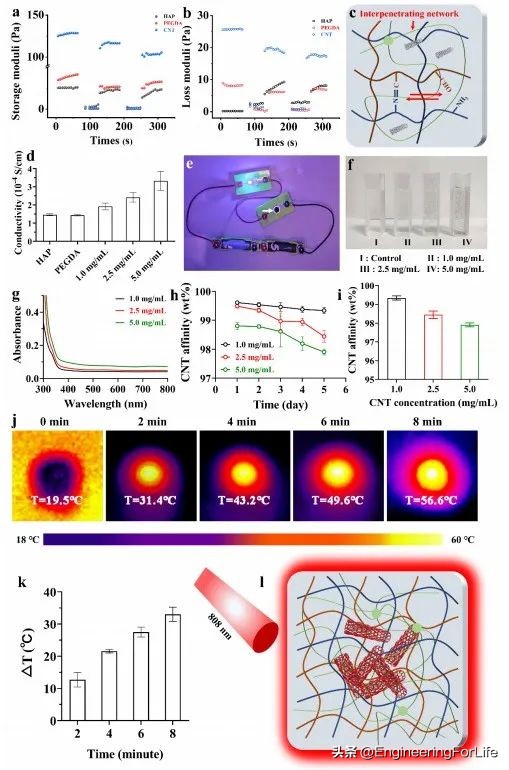 多功能修护水凝胶,水凝胶修复心脏