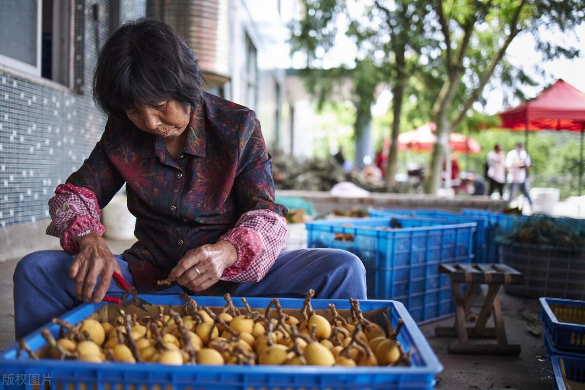 70岁老人护肝养生,60老人护肝吃什么