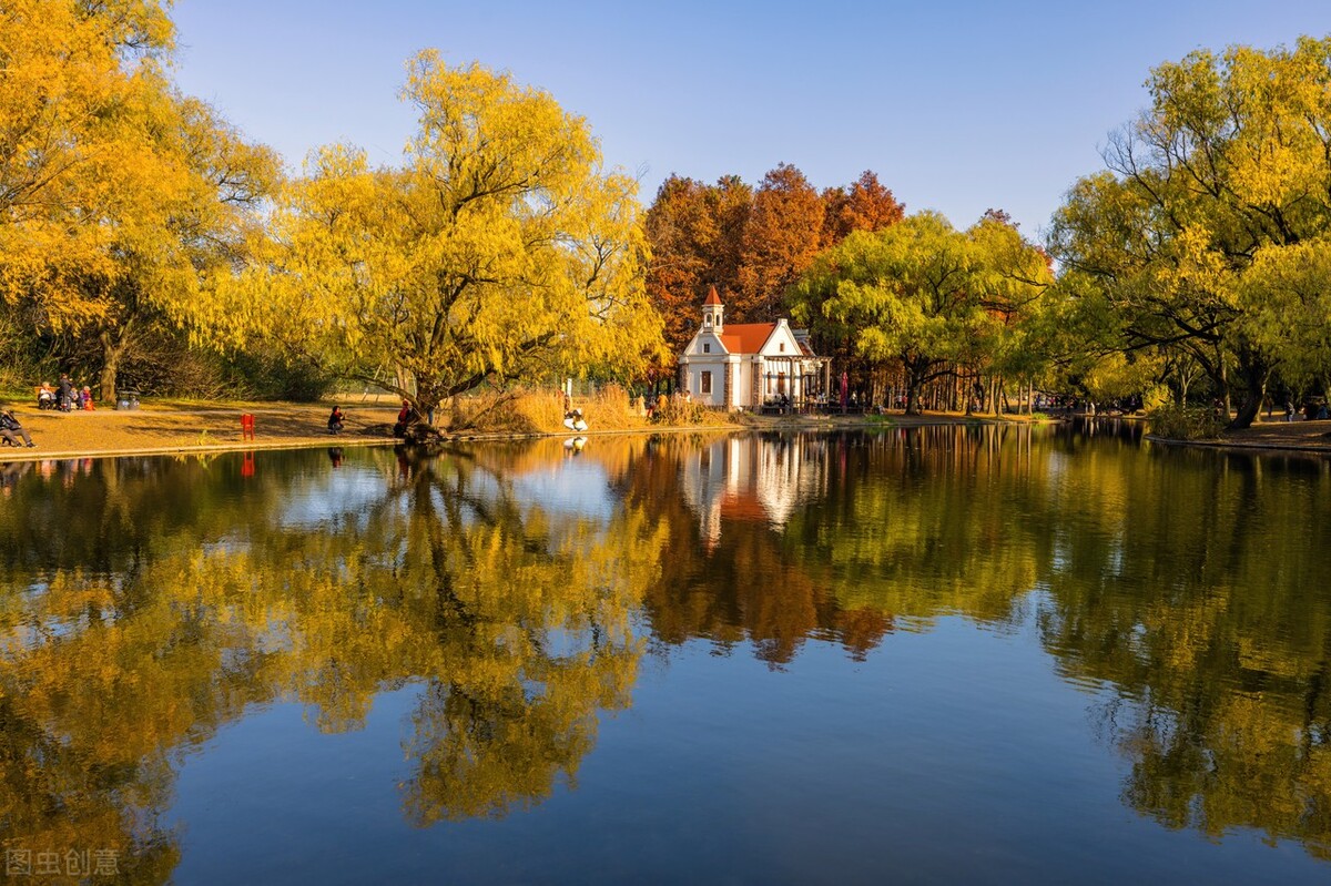 秋日上海好去处,上海秋日风景