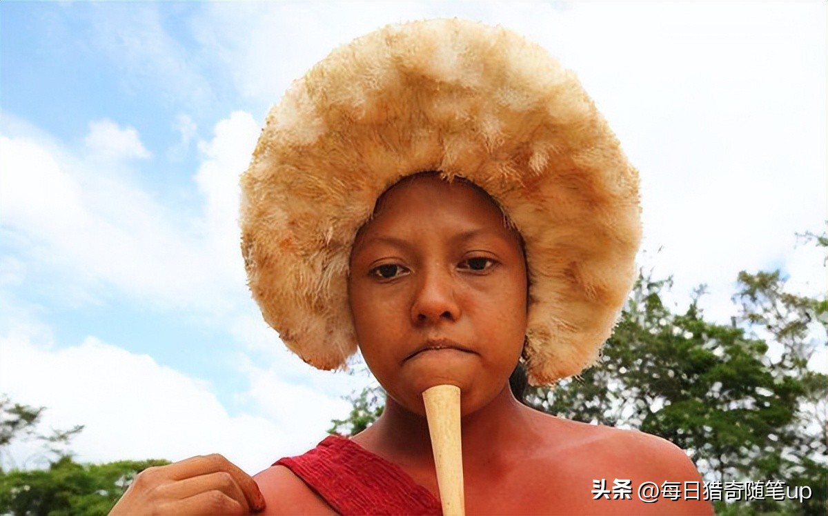 古埃及人为什么下巴要插木棍,亚马逊原始部落下巴穿木棍