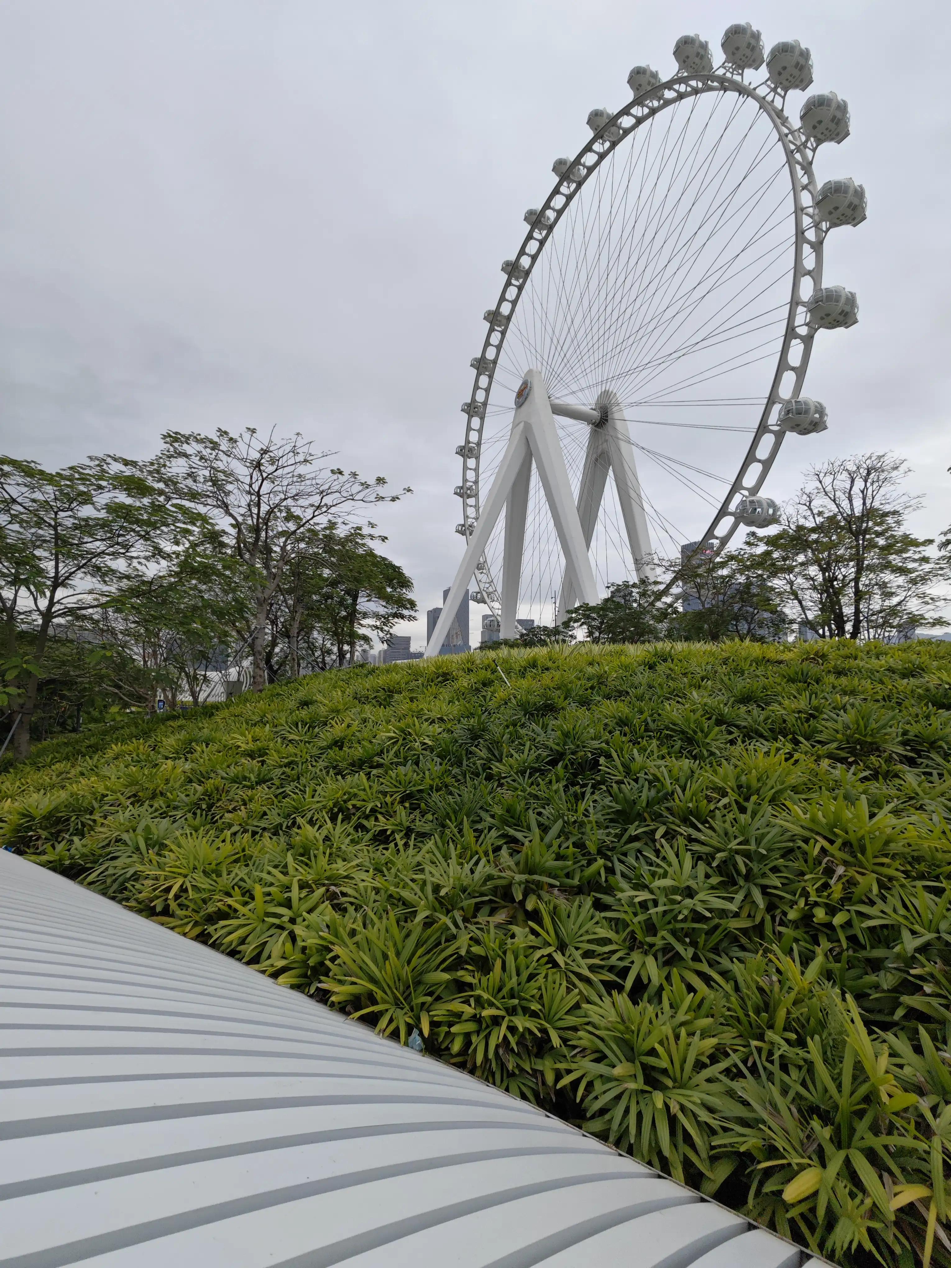 宝安滨海廊桥路线图,宝安滨海廊桥入口