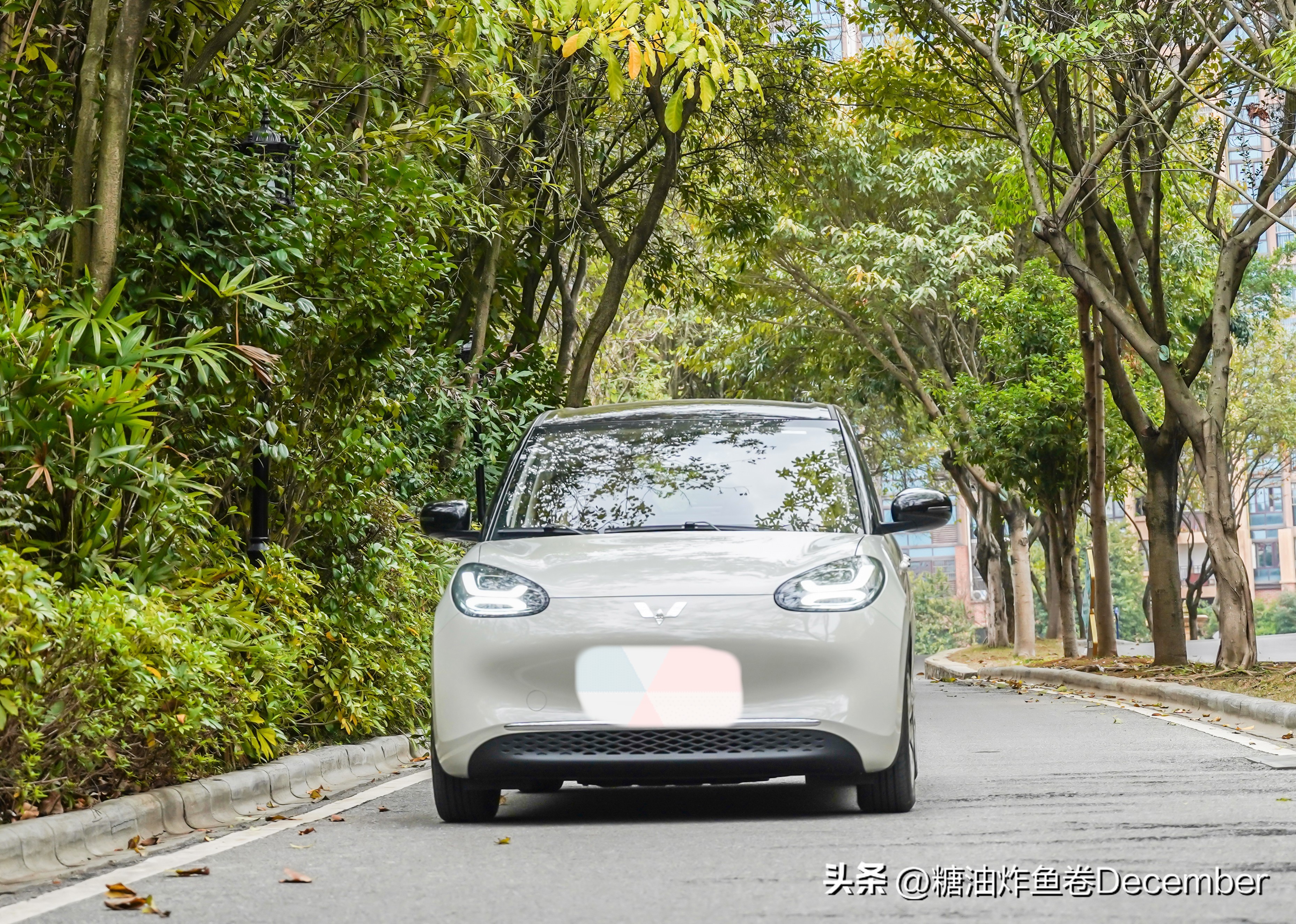 石埠乳业生态观光牧场有限公司,广西石埠乳业生态观光牧场抖音号