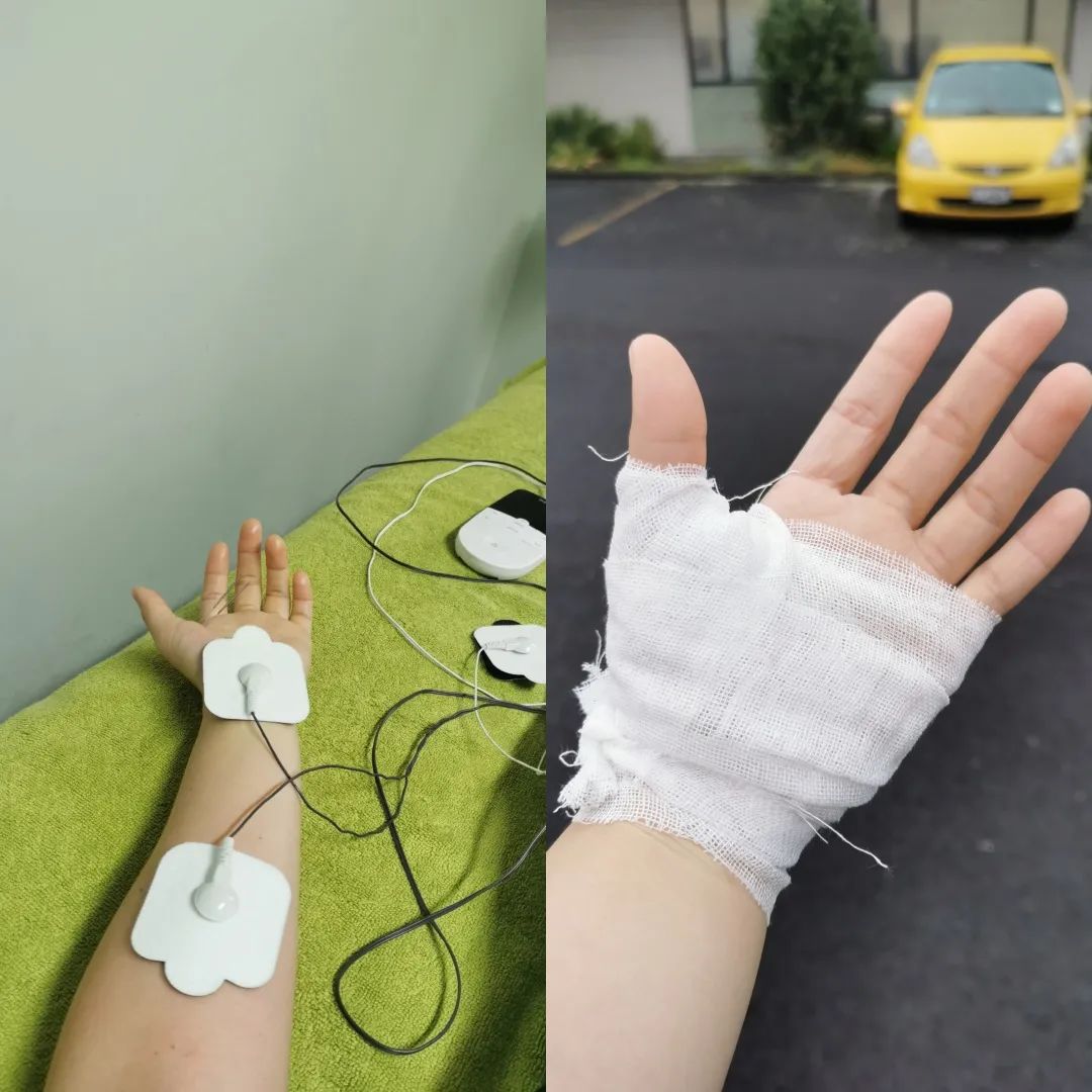 95后特特在新西兰：进厂切白菜，月入2万，感染新冠领千元补贴