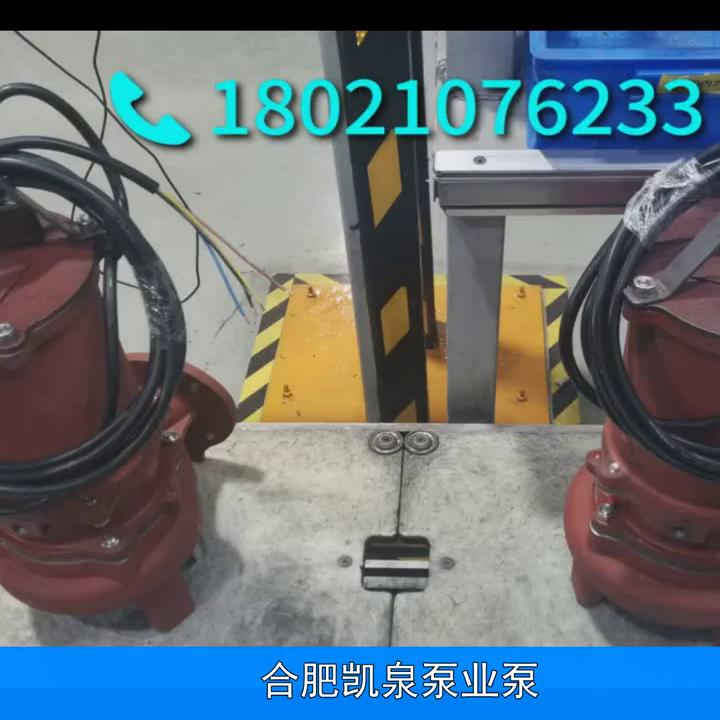 引领中国崛起,上海凯泉泵业大泵