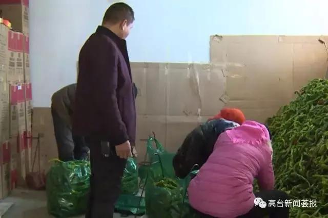 这算传奇吗？来看高台县巷道镇创业能人郭江的事迹！