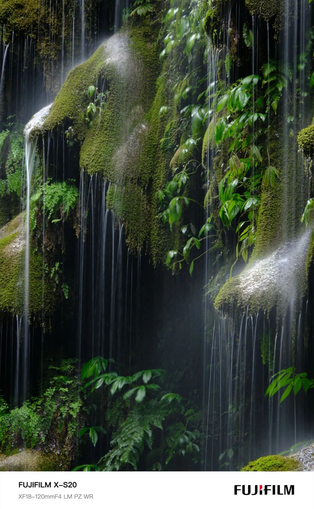 富士x-s20高感测评,富士x-s20几画幅