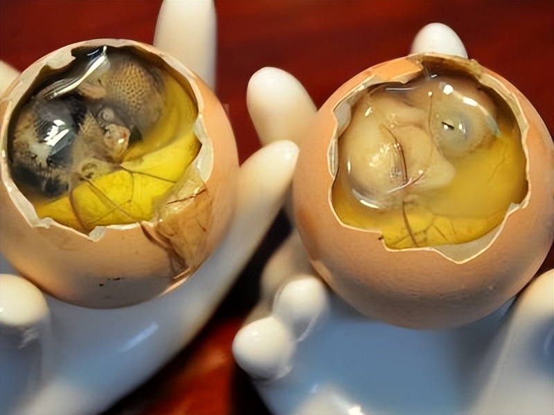 毛蛋活珠子正确吃法,活珠子毛蛋哪个最好吃