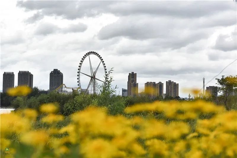 迈开脚步看风景别辜负昆明好风光,带你看云南昆明美景