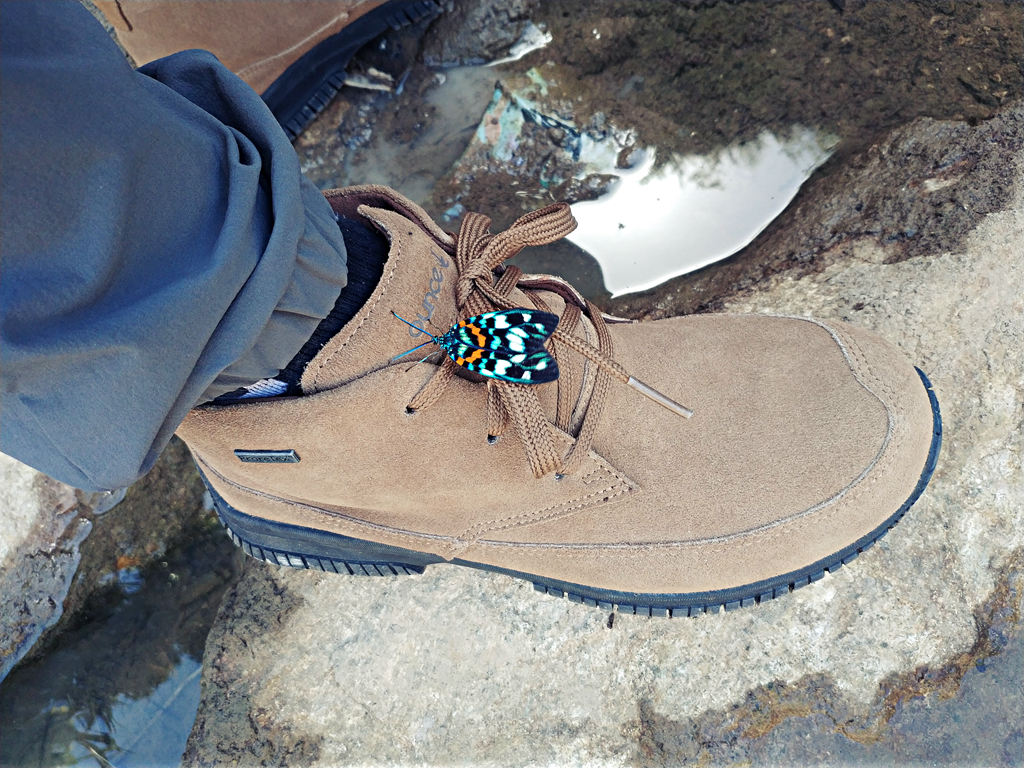 閬ㄦ父浠昹3鍜宭3n,閬ㄦ父浠曠櫥灞遍瀷l3鍜宭1