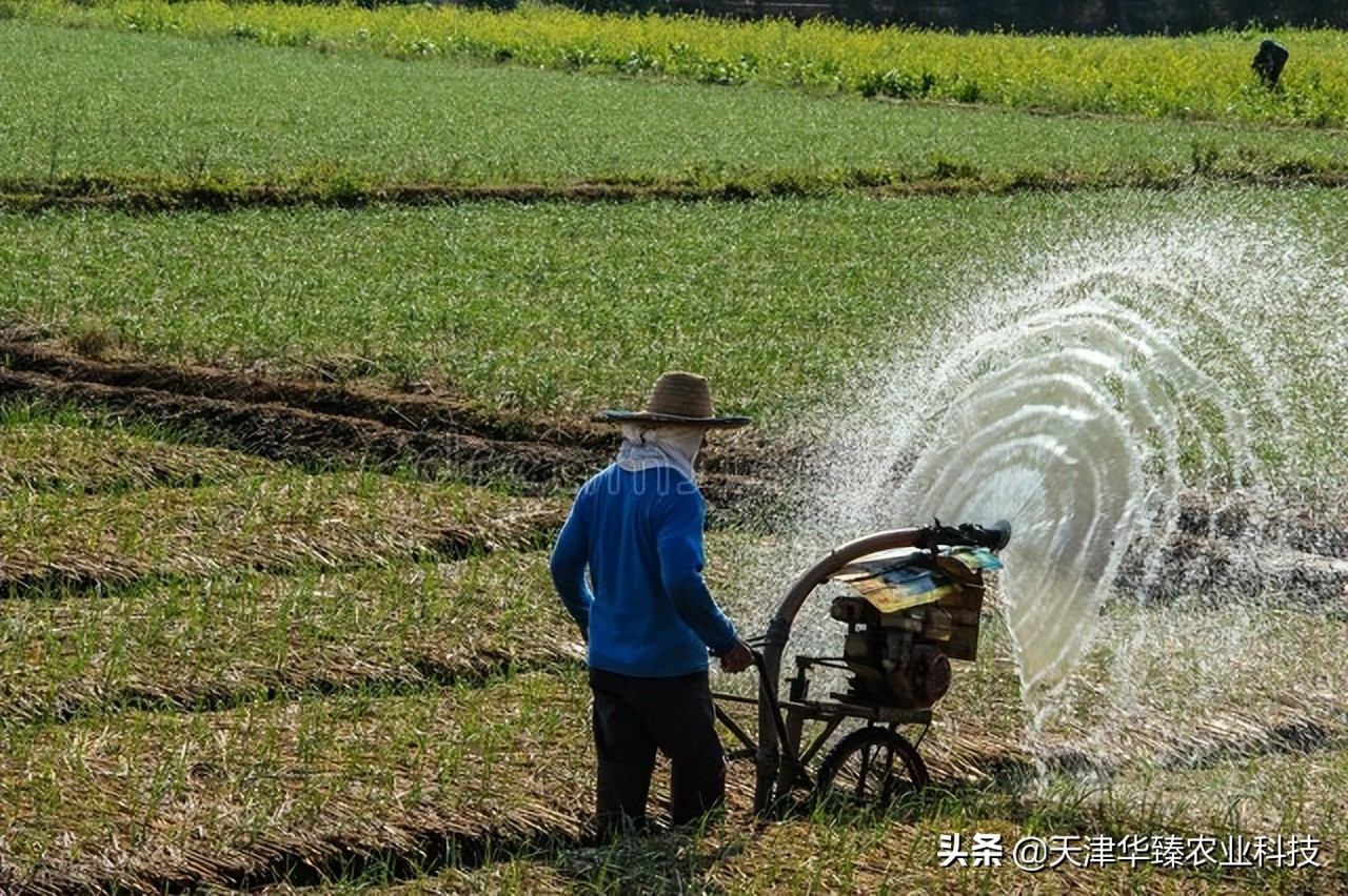 硼对农作物的作用,硼的用途及前景