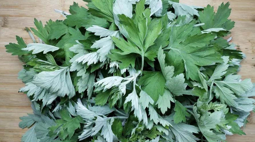 中医认为肛门瘙痒症的发病原因是什么？有何治疗建议？