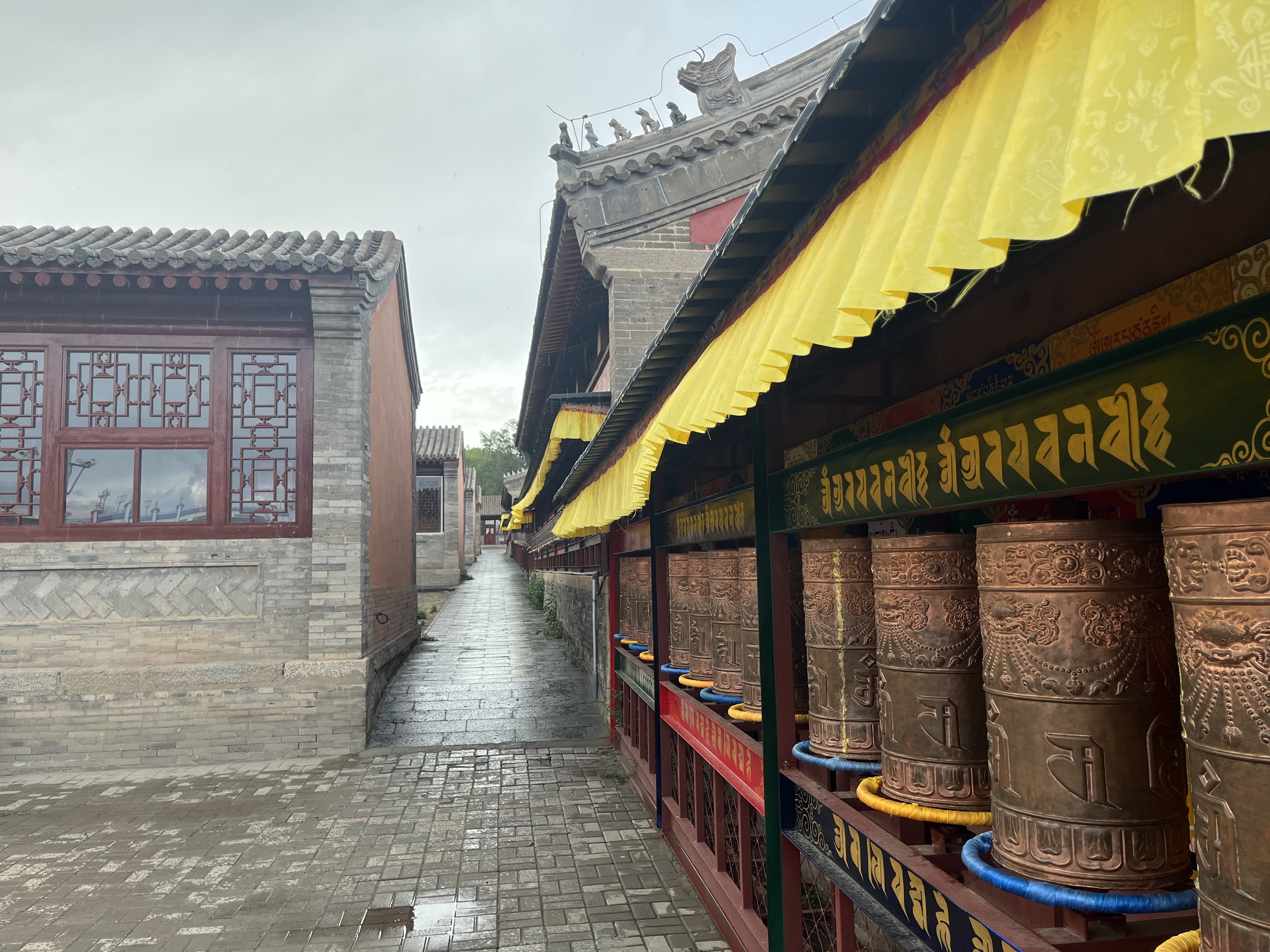 夫妻自驾11000公里,夫妻两人自驾游最新视频