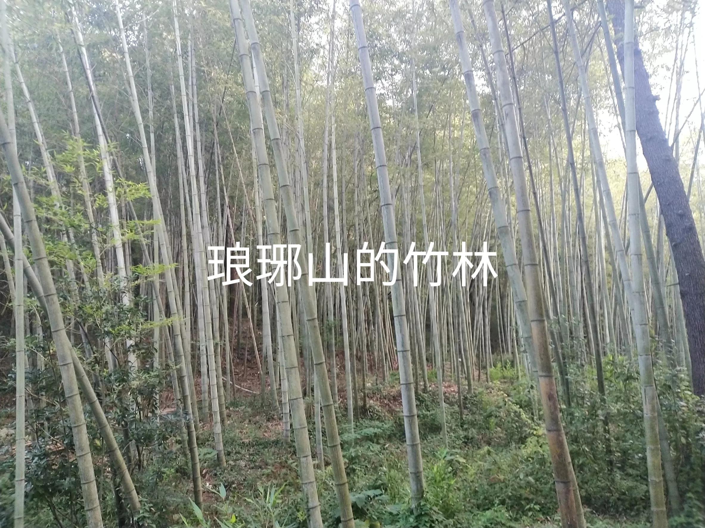 夜游琅琊山,琅琊山南天门景区夜游