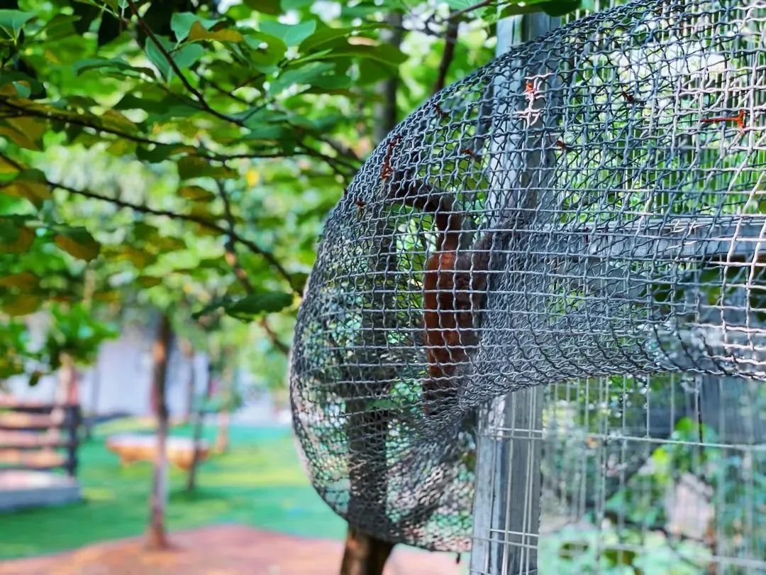 适合春天去的美宿,湖景美宿推荐
