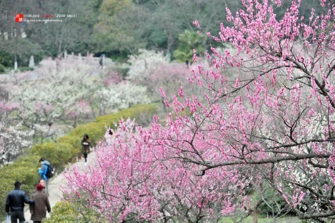 适合2月出行的12个旅行地，不负冬日的白雪和暖阳，准备好了吗？