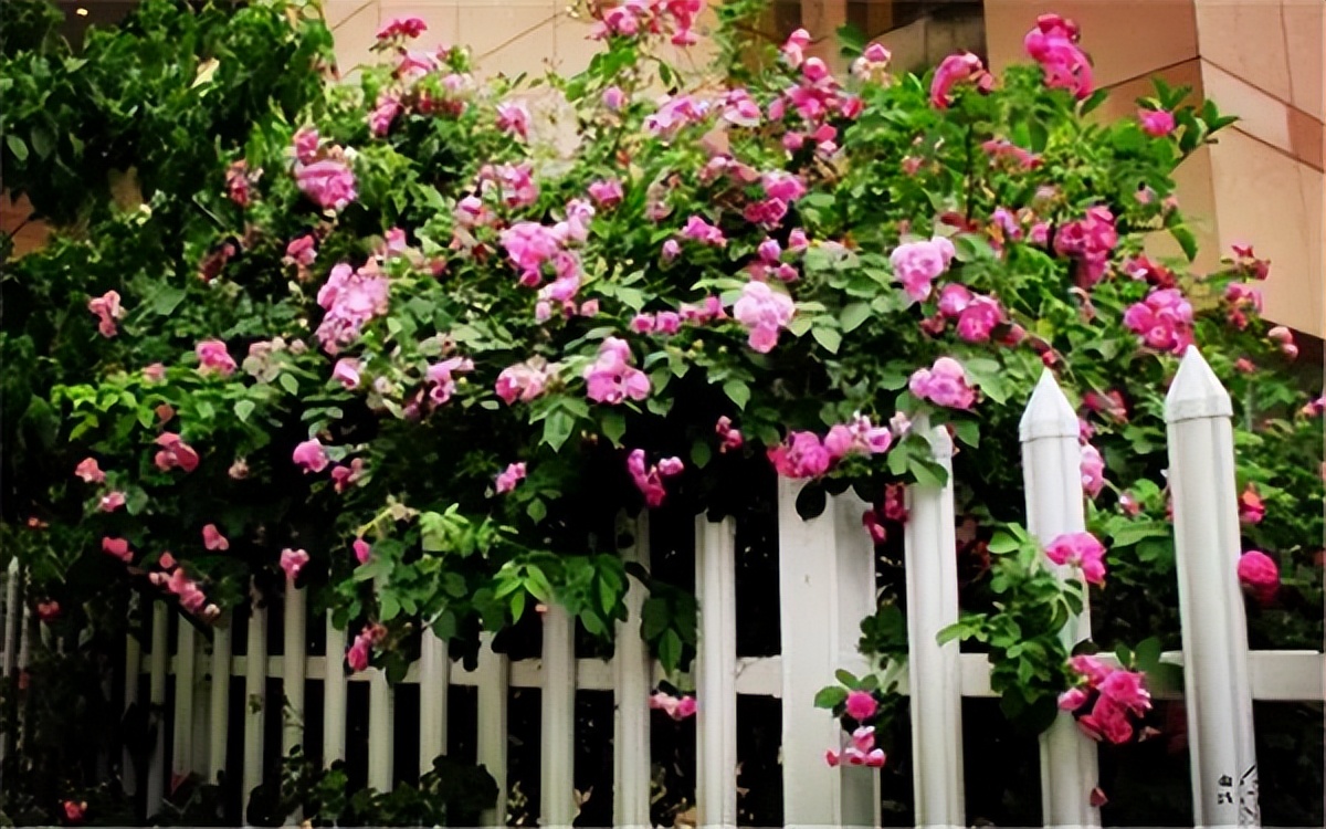 室内景观设计，让心静下来，让生活慢下来