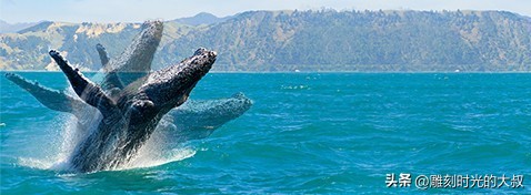 2022年最好的长焦相机是哪一款,2021年最值得购买的长焦相机