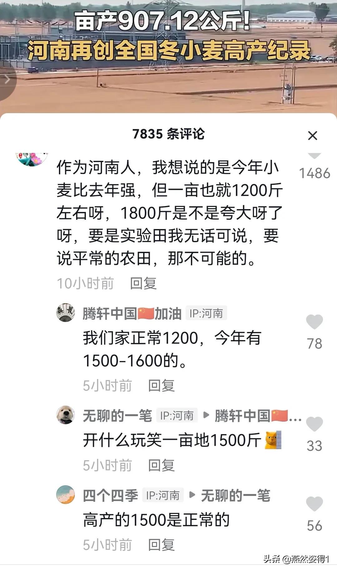 打破山东省小麦高产纪录,河南省今年小麦亩产最高纪录
