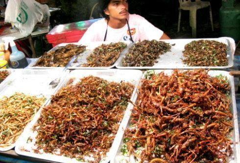 油炸蝗虫的口感,蝗虫烧烤油炸方法