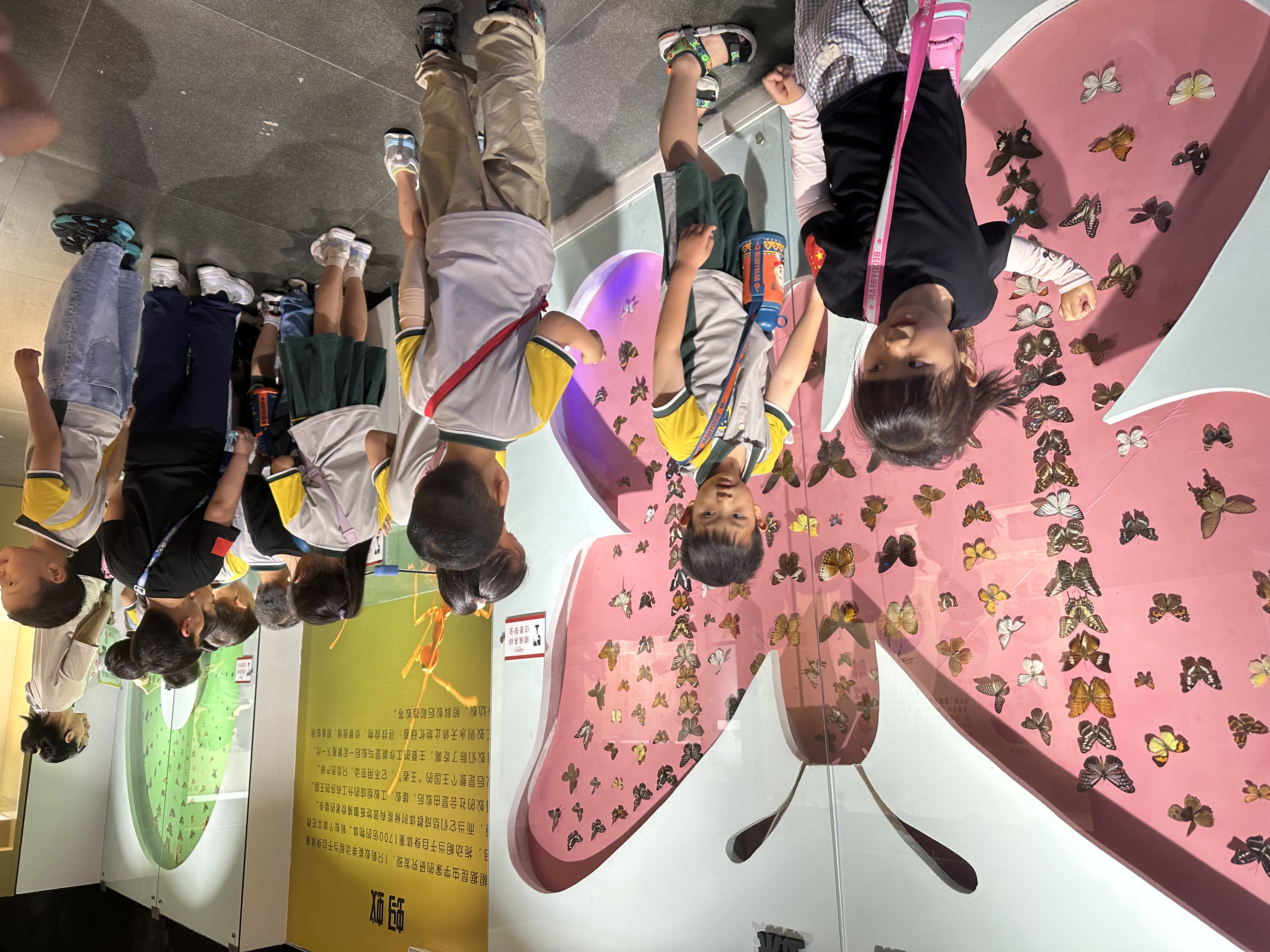 端午节适合郑州旅游的地方,郑州端午节适合旅游的地方