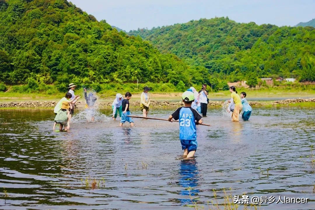 家庭农场：是否能成为乡村致富的新风口？