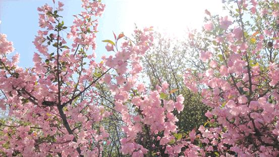 徐州春游野餐的好地方推荐,徐州最新春游推荐
