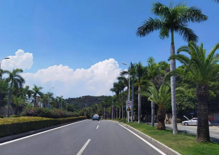 沥青软化点的标准和用途,沥青的软化点测试