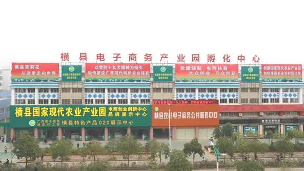 好一朵横州茉莉花搭上“电商快车”走天下