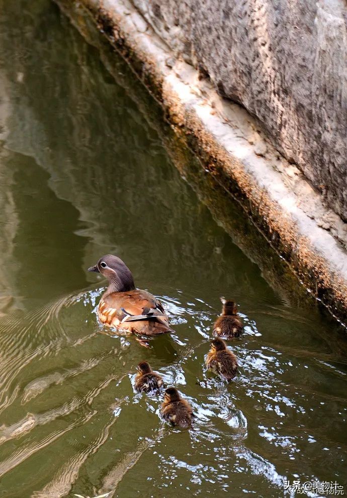 愿五月平安顺利开心,愿五月一切平安顺遂
