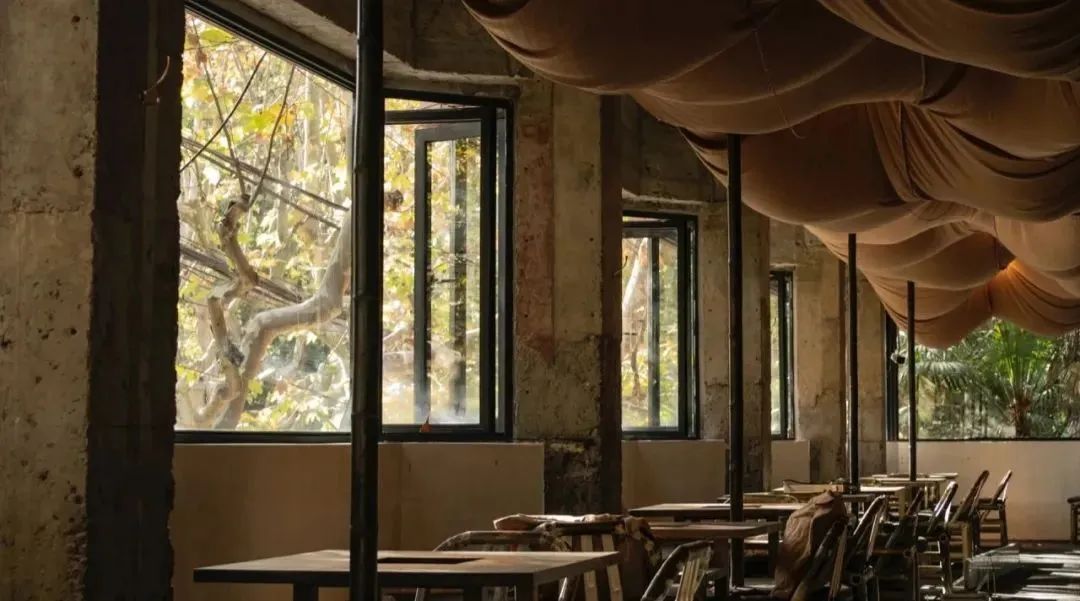 夏天最爱吃的美食,贵州酸汤火锅去哪吃最正宗