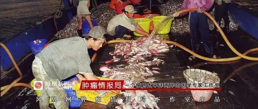 揭开8万人滞留三亚的疫情源头之谜：一艘越南渔船的非法交易