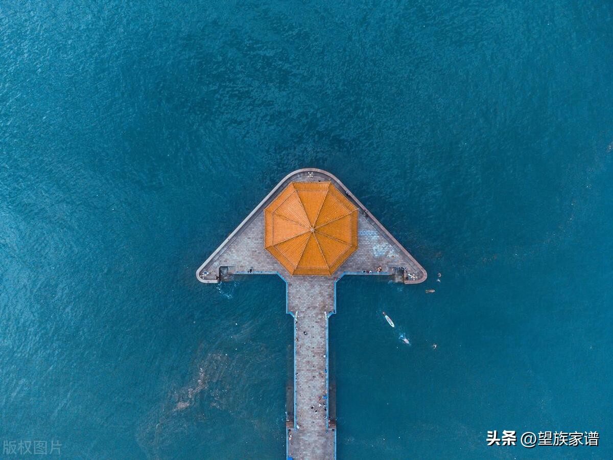 青岛家谱大全,寻根31集免费观看