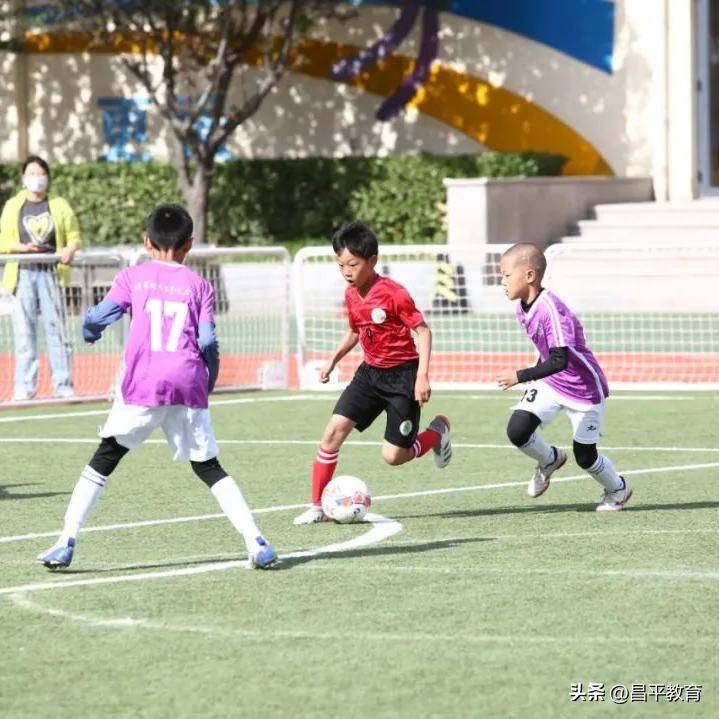 校园竞技体育的魅力,校园青春比赛