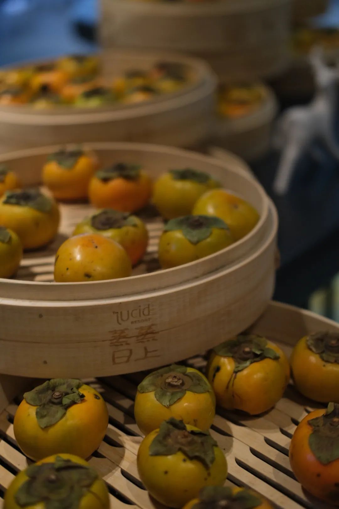 春天的潺潺溪水,春天的顶流