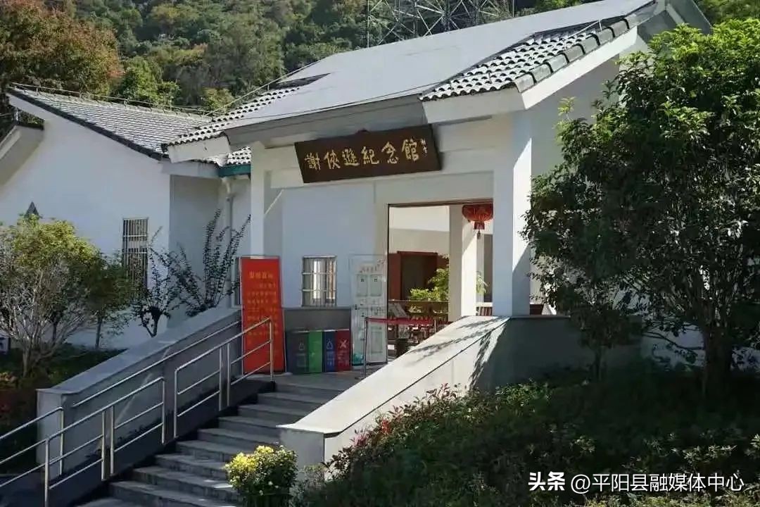 平阳的传统文化,平阳县传统文化