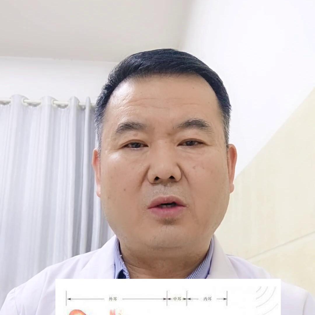 天天头晕恶心查不出原因,头晕前庭功能不好怎么治