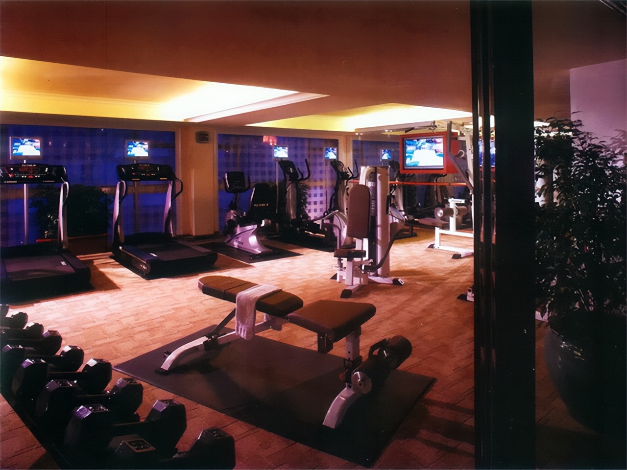 抗癌王伟怎么样了,患癌症练健美的王伟现在怎么样了