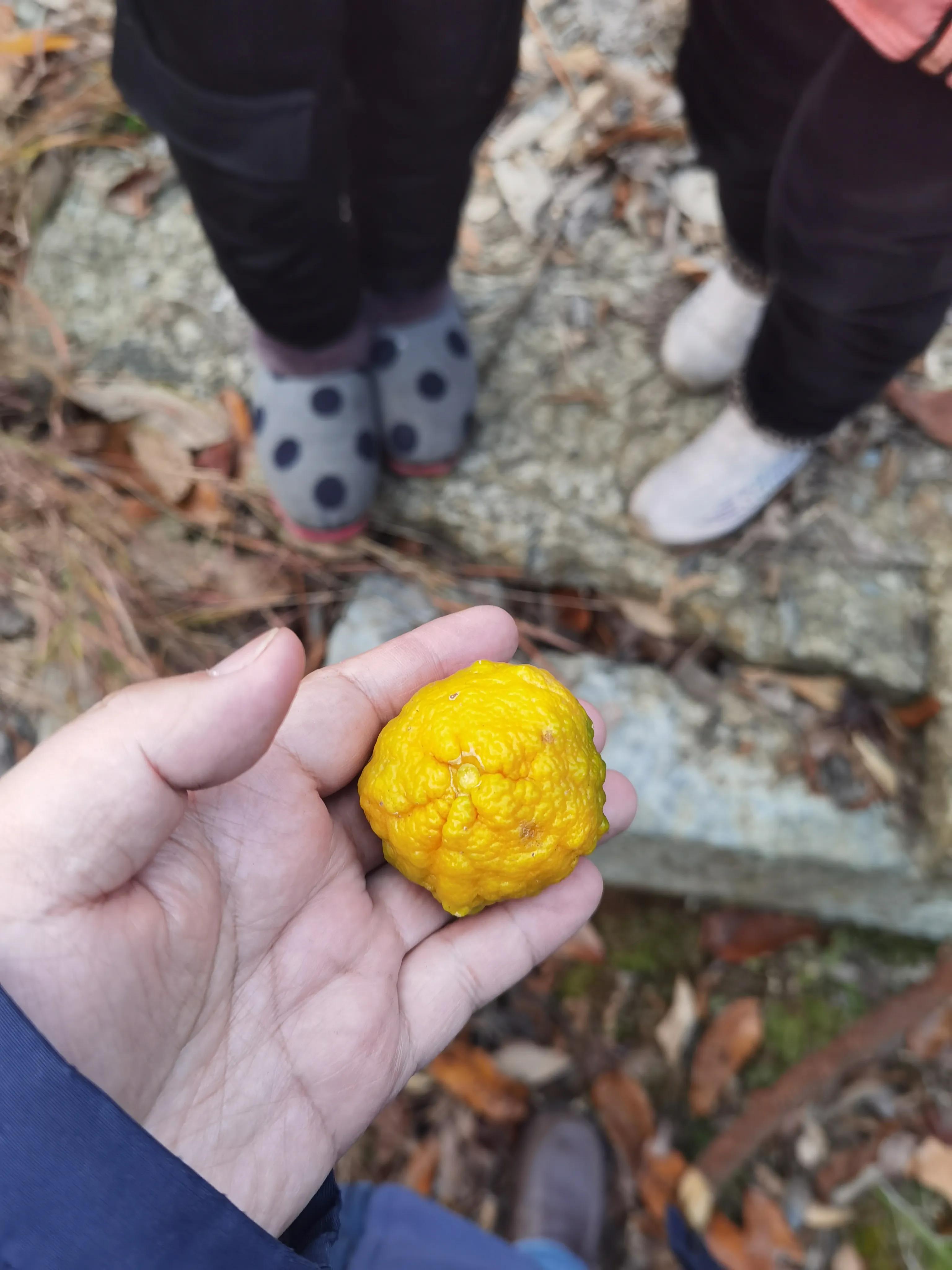 我家后面有座大山,我家后面有一座山用什么符号表示