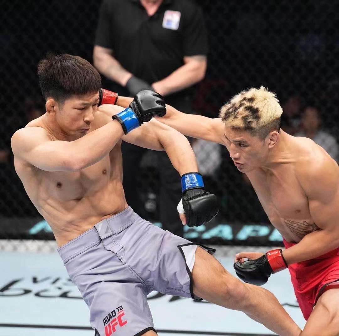 中国ufc第一人有多强,中国最先进的ufc第一人