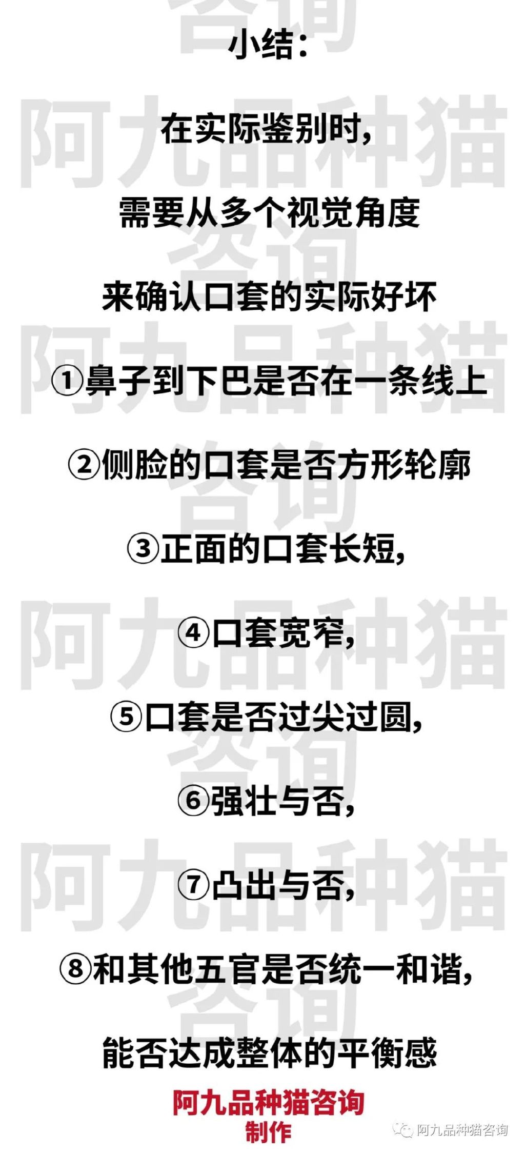 正宗缅因猫哪些颜色的贵,缅因猫品相极好的多少钱