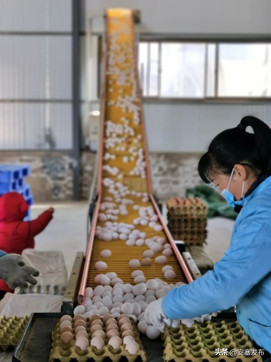 激发人才活力助力乡村振兴,以人才集聚引领乡村振兴发展