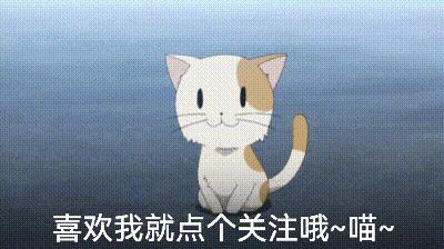 告诉你养狗之前需要知道的事情,贵宾犬为什么不建议养