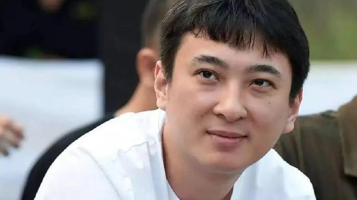 王思聪的陨落背后的故事,一口气看懂王思聪的传奇人生