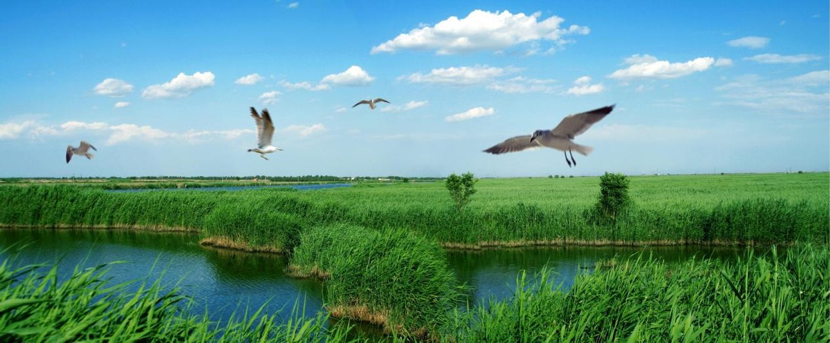 天津静海公路自行车赛,天津市公路自行车锦标赛