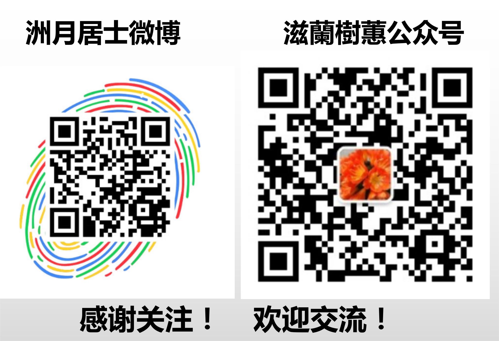 红楼梦整本书阅读之情节结构,红楼梦整本书主要内容50字