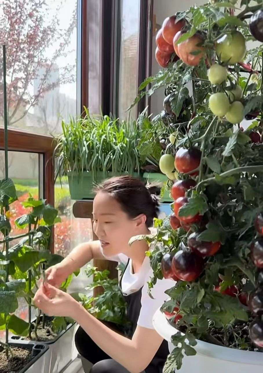 80后山东夫妻放弃5万月薪,95后小伙放弃30万年薪种菜