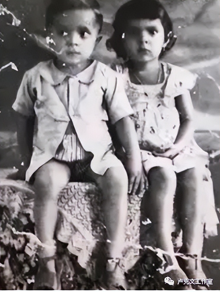 九指鱿鱼:卢拉传