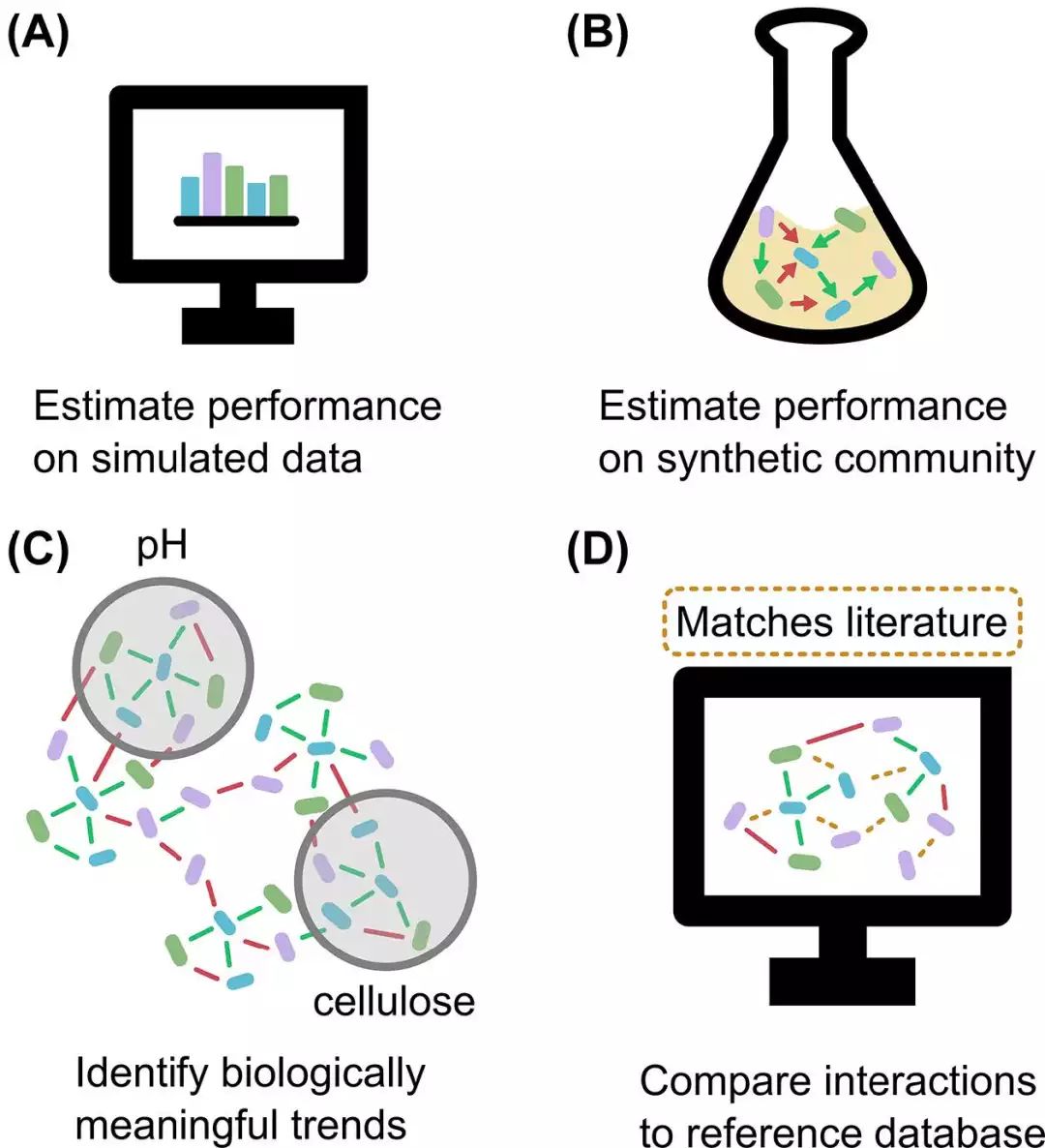 FEMS综述：如何从微生物网络中的“毛线球”理出头绪