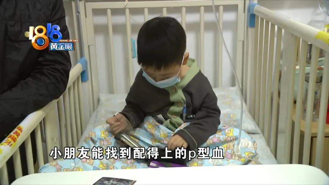 罕见的p型血,p型血好处和坏处