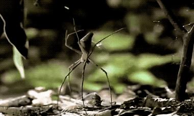 25张万分之一机会拍到的精彩瞬间，晚一秒都拍不到